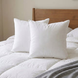 Filling Square Cushion - Pack of 2