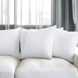 Filled Cushions - Vacuumed